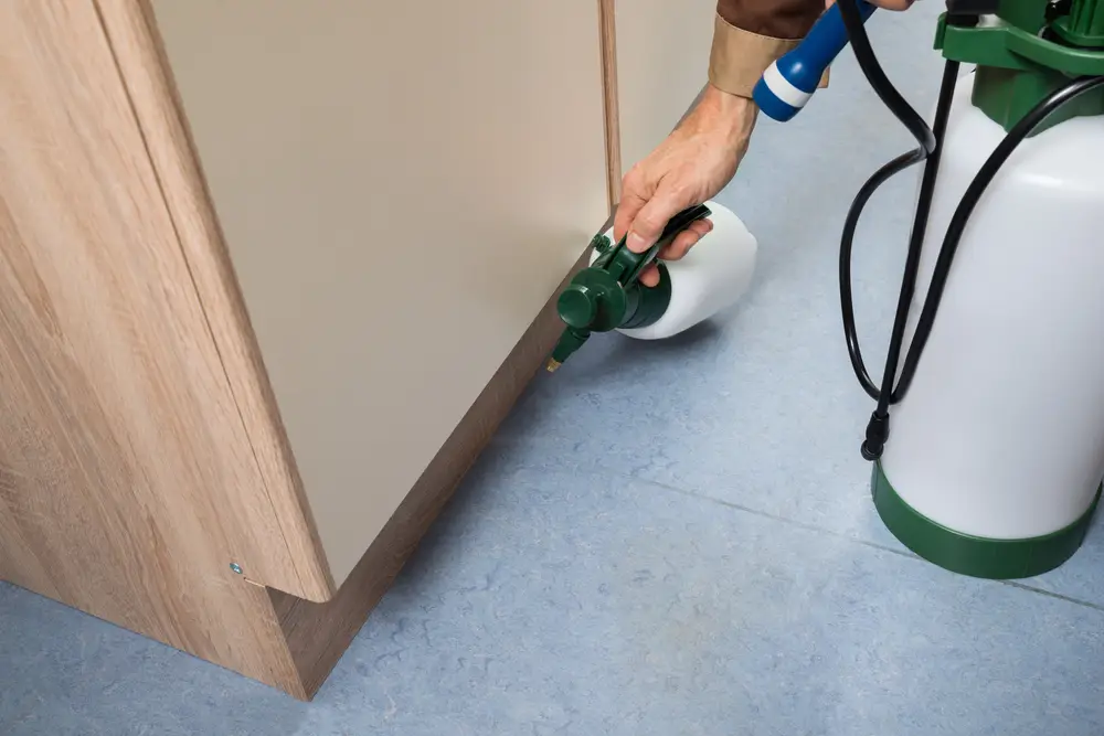 insectiside maison